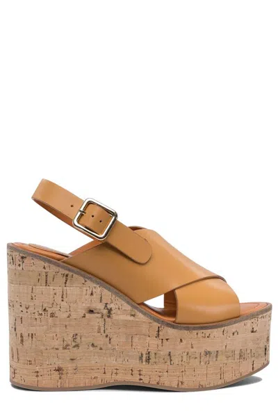 Paloma Barceló Sandals In Brown