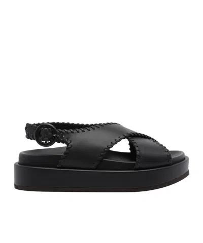 Paloma Barceló Round-toed Sandals In Black