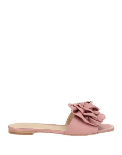 Paloma Barceló Calipso Woman Sandals Antique Rose Size 9 Textile Fibers In Pink