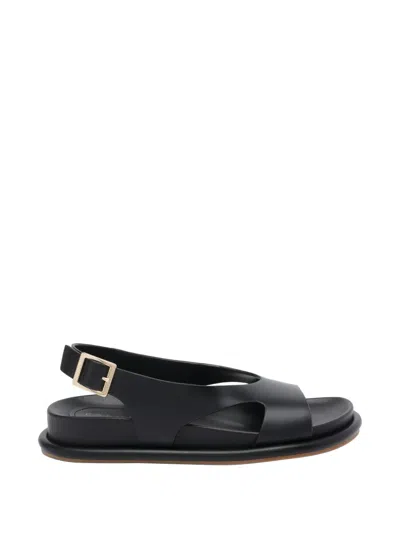 Paloma Barceló Calista Buckle Leather Sandals In Black