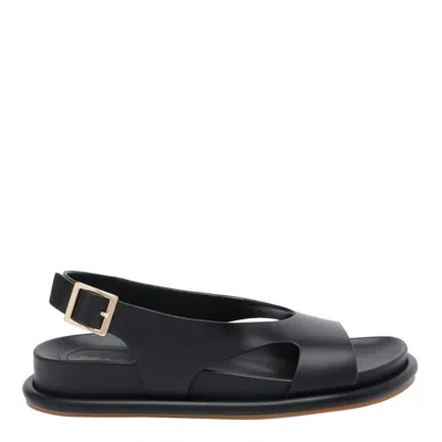 Paloma Barceló Calista Sandals In Black