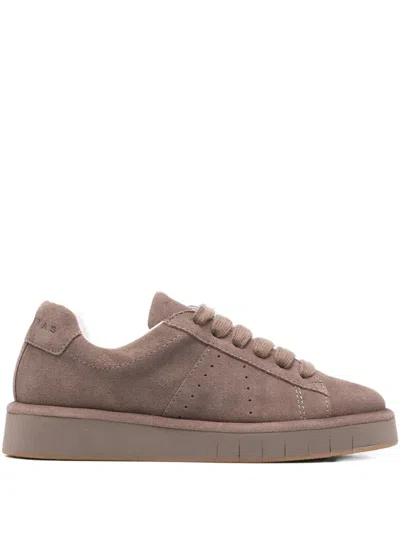 Paloma Barceló Chris Suede Sneakers In Brown