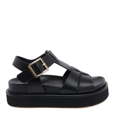 Paloma Barceló Dalia Cohwide Sandals In Black