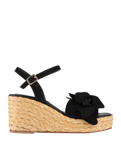 Paloma Barceló Footwear - Sandals In Black