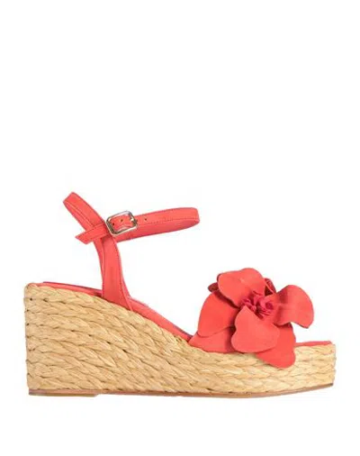 Paloma Barceló Footwear - Sandals In Red