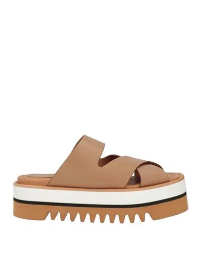 Paloma Barceló Garner Woman Sandals Camel Size 7 Leather In Brown