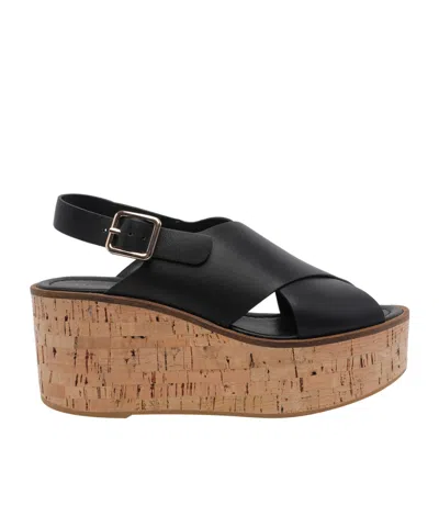 Paloma Barceló Wedge Sandals In Black