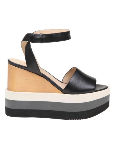 Paloma Barceló Ramy Sandal In Black Leather In Negro