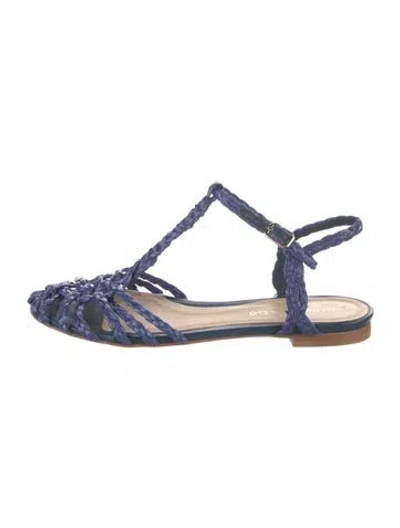 Pre-owned Paloma Barceló Leather T-strap Sandals In Blue