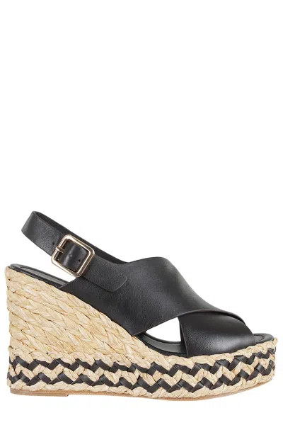 Paloma Barceló Oda In Black