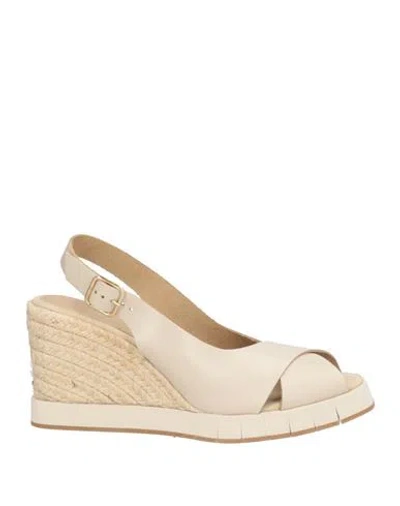 Paloma Barceló Palomitas By  Woman Espadrilles Light Grey Size 8 Leather In Multi