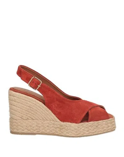Paloma Barceló Palomitas By  Woman Espadrilles Rust Size 8 Leather In Red