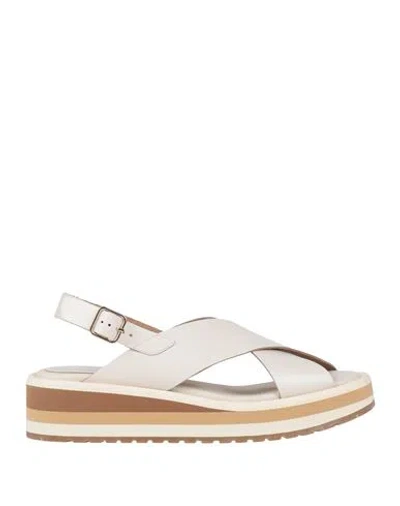 Paloma Barceló Rbblakecross Woman Sandals Beige Size 9 Leather In White
