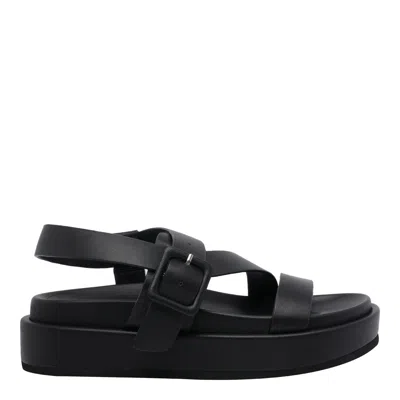 Paloma Barceló Buckle-strap Leather Sandals In Black