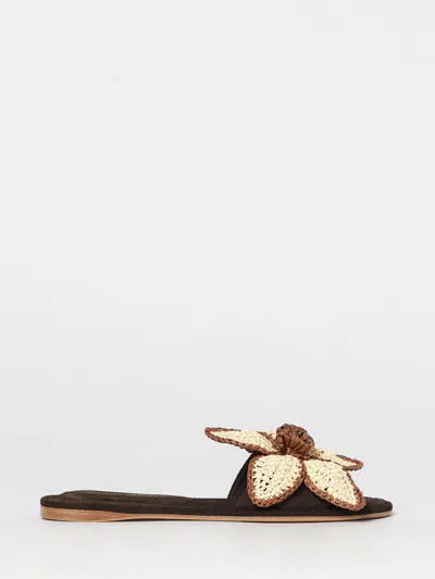 Paloma Barceló Shoes Woman Paloma Barcelò In Black