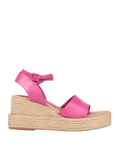 Paloma Barceló Woman Espadrilles Magenta Size 7 Leather In Pink