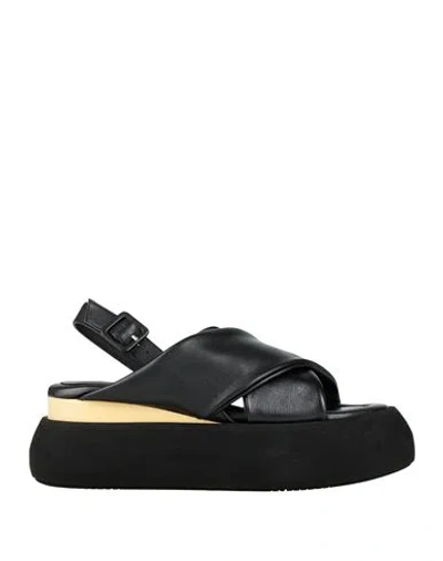 Paloma Barceló Woman Sandals Black Size 10 Leather