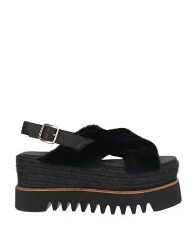 Paloma Barceló Woman Sandals Black Size 7 Leather