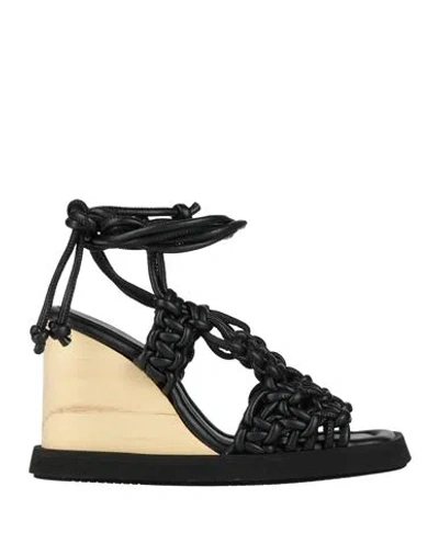 Paloma Barceló Woman Sandals Black Size 7 Textile Fibers