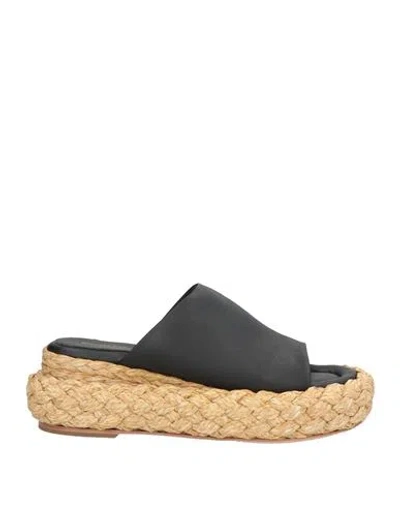 Paloma Barceló Woman Sandals Black Size 8 Leather, Natural Raffia