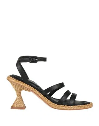 Paloma Barceló Woman Sandals Black Size 9.5 Lambskin, Straw