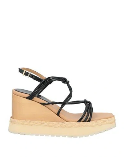 Paloma Barceló Woman Sandals Black Size 9.5 Leather