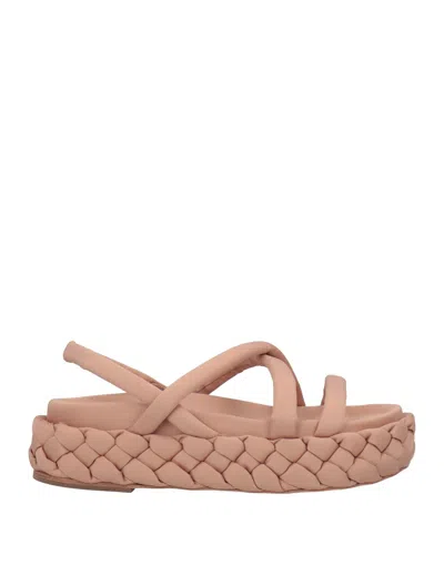 Paloma Barceló Sandals In Pink