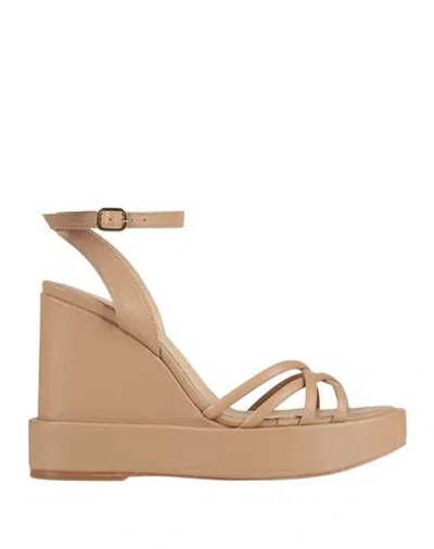 Paloma Barceló Woman Sandals Blush Size 8 Leather In Blue
