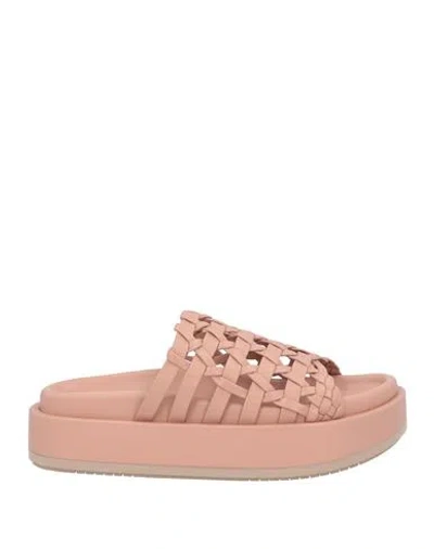 Paloma Barceló Woman Sandals Blush Size 8 Leather In Pink