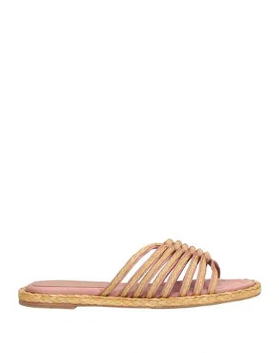 Paloma Barceló Woman Sandals Blush Size 8 Textile Fibers, Natural Raffia In Pink