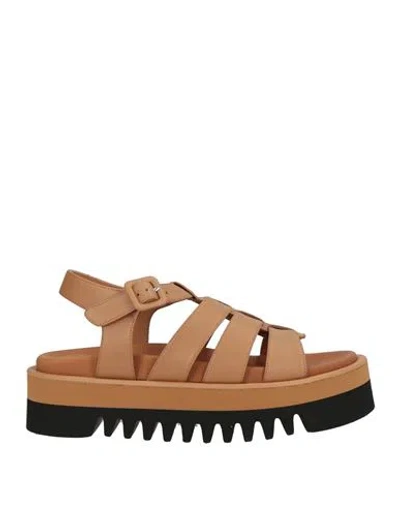 Paloma Barceló Woman Sandals Camel Size 9.5 Calfskin In Brown