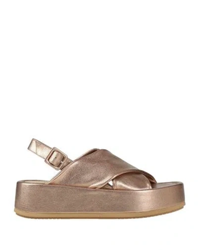 Paloma Barceló Woman Sandals Copper Size 8 Leather In Gold