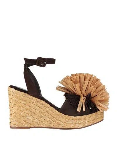 Paloma Barceló Woman Sandals Dark Brown Size 6 Leather, Natural Raffia In Multi