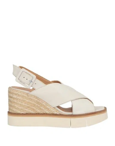 Paloma Barceló Woman Sandals Ivory Size 7 Leather In Multi
