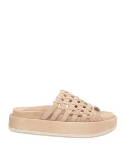 Paloma Barceló Woman Sandals Ivory Size 8 Leather In Neutral