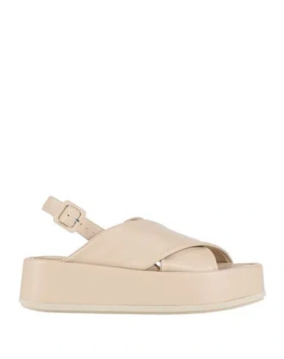 Paloma Barceló Woman Sandals Ivory Size 9 Leather In Neutral