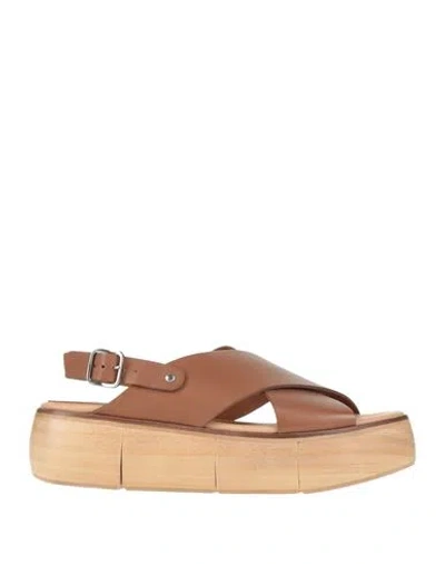 Paloma Barceló Woman Sandals Light Brown Size 10 Soft Leather In Multi