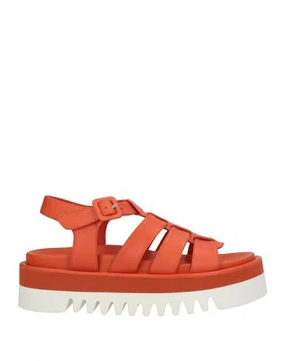 Paloma Barceló Woman Sandals Orange Size 7 Calfskin