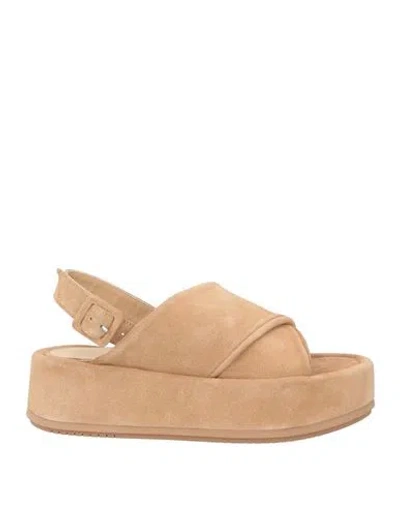 Paloma Barceló Woman Sandals Sand Size 8 Leather In Beige