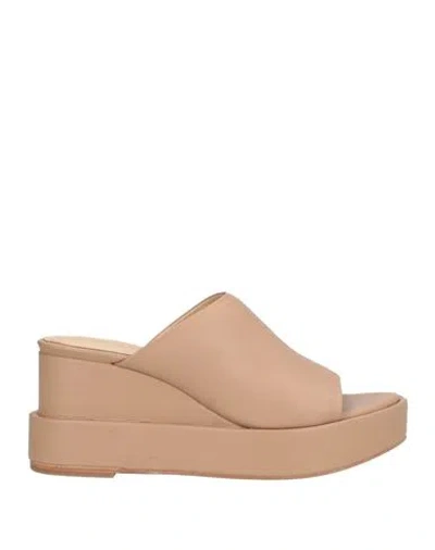 Paloma Barceló Woman Sandals Sand Size 8 Leather In Beige