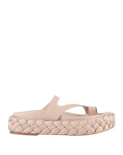 Paloma Barceló Woman Thong Sandal Beige Size 9 Textile Fibers In Nude