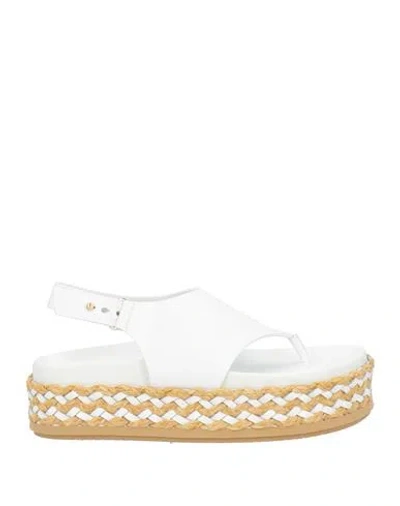 Paloma Barceló Woman Thong Sandal White Size 8 Cow Leather, Natural Raffia