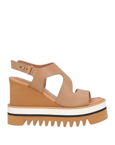 Paloma Barceló Zarine Woman Sandals Camel Size 9 Leather In Beige