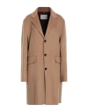 Paltò Woman Coat Camel Size 14 Wool, Nylon In Brown