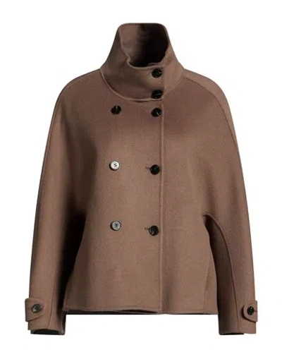 Paltò Woman Coat Taupe Size 8 Wool In Brown