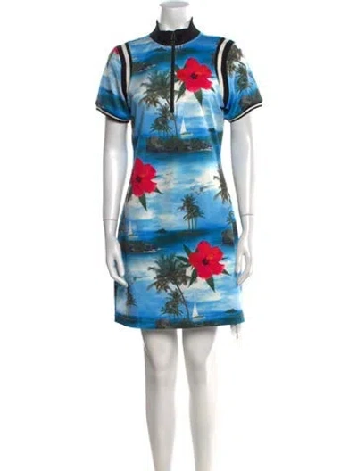 Pre-owned Pam & Gela Floral Print Mini Dress In Blue
