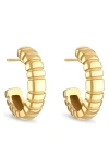 PAMELA ZAMORE ORLA LARGE OVAL HOOP EARRINGS