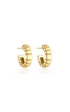 Pamela Zamore Orla Large Oval Hoop Earrings In Gold