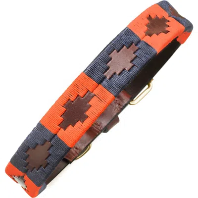 Pampeano Audaz Leather Dog Collar In Brown/orange/navy
