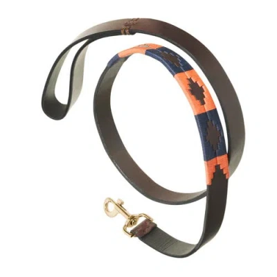 Pampeano Audaz Leather Dog Leash In Brown/orange/navy